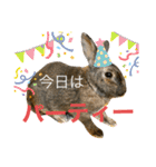 ウサくんの日常（個別スタンプ：7）