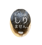 ウサくんの日常（個別スタンプ：8）