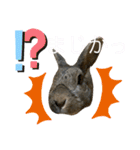 ウサくんの日常（個別スタンプ：9）