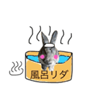 ウサくんの日常（個別スタンプ：12）