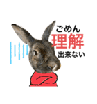 ウサくんの日常（個別スタンプ：13）