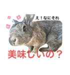 ウサくんの日常（個別スタンプ：14）