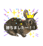ウサくんの日常（個別スタンプ：19）