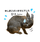 ウサくんの日常（個別スタンプ：21）