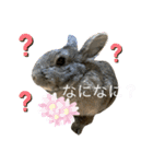 ウサくんの日常（個別スタンプ：22）
