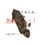ウサくんの日常（個別スタンプ：26）