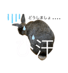 ウサくんの日常（個別スタンプ：27）