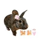ウサくんの日常（個別スタンプ：28）