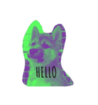 柴犬おと（個別スタンプ：1）