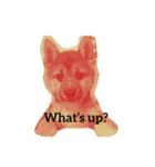 柴犬おと（個別スタンプ：2）