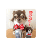 チヨの関西弁（個別スタンプ：1）
