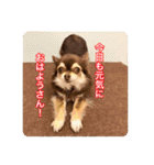 チヨの関西弁（個別スタンプ：5）