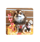 チヨの関西弁（個別スタンプ：12）