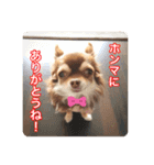 チヨの関西弁（個別スタンプ：21）
