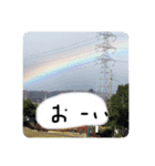 愛麗のスタンプ（個別スタンプ：5）