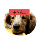 DOGS・どりーむ（個別スタンプ：5）