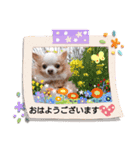 武居familiar3（個別スタンプ：5）