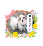 武居familiar3（個別スタンプ：11）