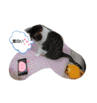 武居familiar3（個別スタンプ：14）