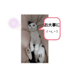 武居familiar3（個別スタンプ：20）