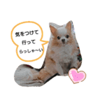 武居familiar3（個別スタンプ：24）