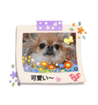 武居familiar3（個別スタンプ：28）