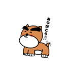 ハマ犬（個別スタンプ：1）