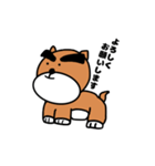 ハマ犬（個別スタンプ：3）