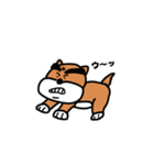 ハマ犬（個別スタンプ：8）