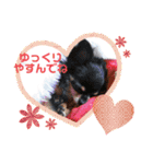 オセロなチワワ（個別スタンプ：10）