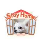 しゅしゅ2（個別スタンプ：2）