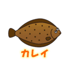 釣りネコパンダ（個別スタンプ：12）