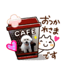 かわいいビションフリーゼ。サランとポエム（個別スタンプ：16）