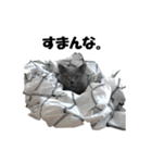 なおき（猫）の日常（個別スタンプ：2）