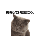 なおき（猫）の日常（個別スタンプ：12）