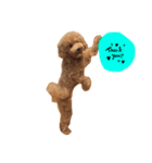 クッキーとミーちゃん第一弾（個別スタンプ：3）