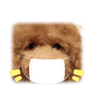 クッキーとミーちゃん第一弾（個別スタンプ：8）