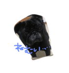u'x'u（個別スタンプ：5）
