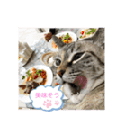 にゃんにゃんにゃん(ハルバージョン)（個別スタンプ：3）