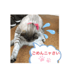 にゃんにゃんにゃん(ハルバージョン)（個別スタンプ：10）