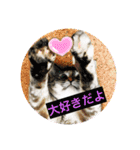 にゃんにゃんにゃん(ハルバージョン)（個別スタンプ：12）