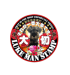 ルークマンスタンプ英語も中国語もわかる！（個別スタンプ：1）