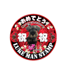 ルークマンスタンプ英語も中国語もわかる！（個別スタンプ：4）