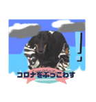 可愛い犬達！！♡♡（個別スタンプ：1）