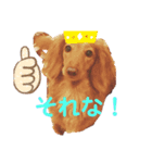 可愛い犬達！！♡♡（個別スタンプ：2）