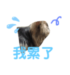 ぷリィの（個別スタンプ：2）