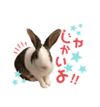 お茶目なkokkochan(4)（個別スタンプ：3）