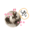 お茶目なkokkochan(4)（個別スタンプ：5）
