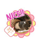 お茶目なkokkochan(4)（個別スタンプ：8）