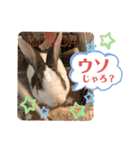 お茶目なkokkochan(4)（個別スタンプ：20）